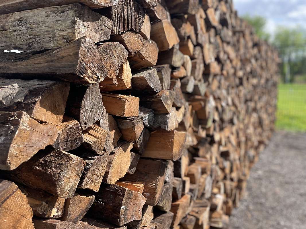 camp31_gallery_2026_08